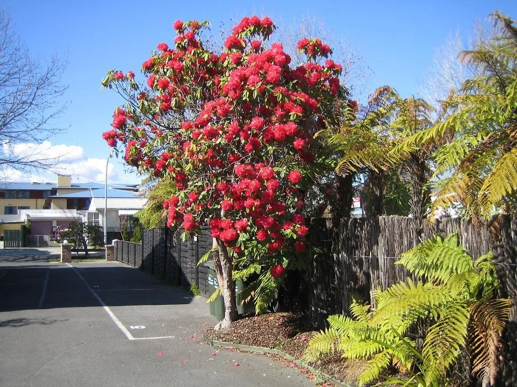 **** Motel Victoria Lodge Rotorua New Zealand